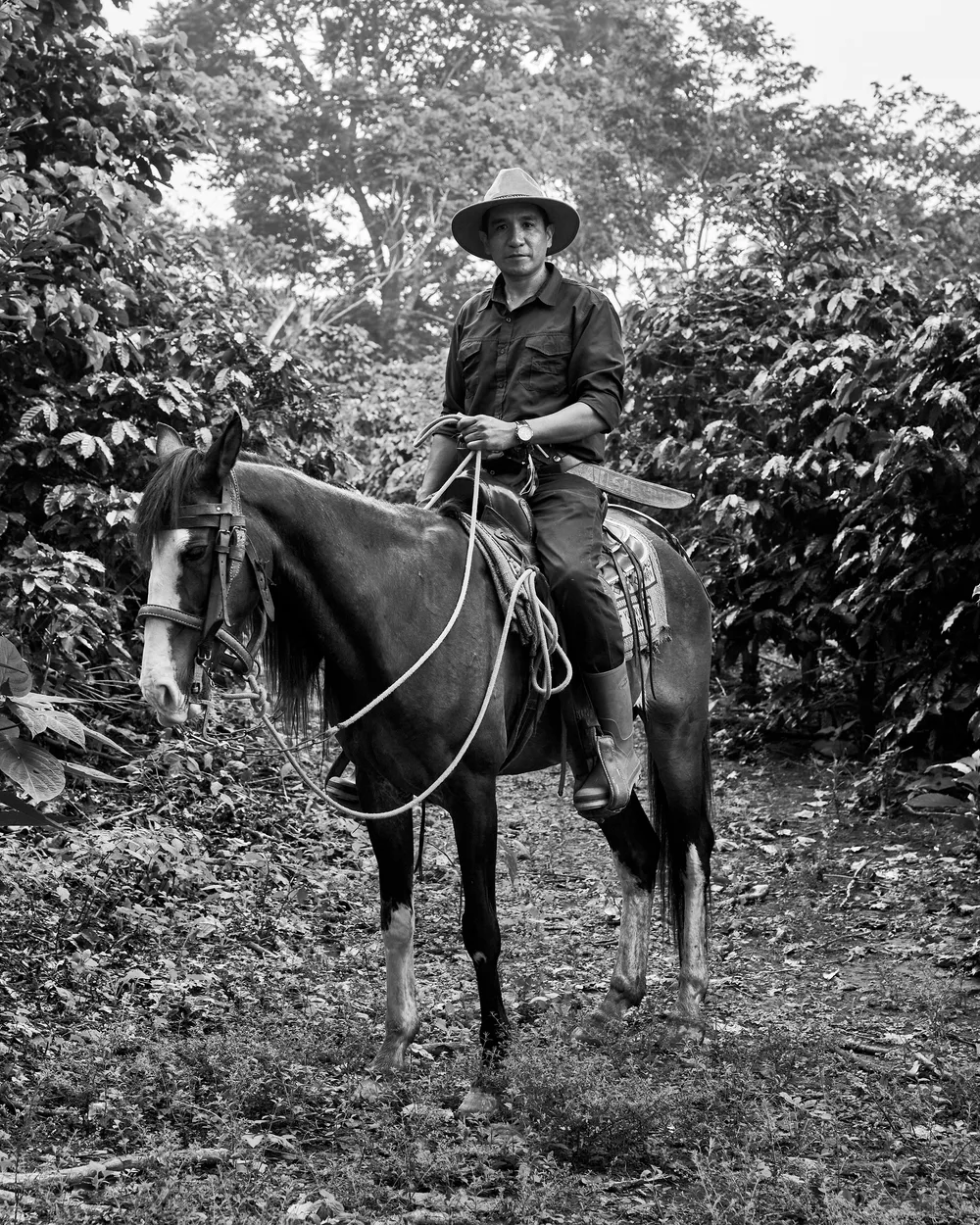 Coffee Republic — From Seed to Cup